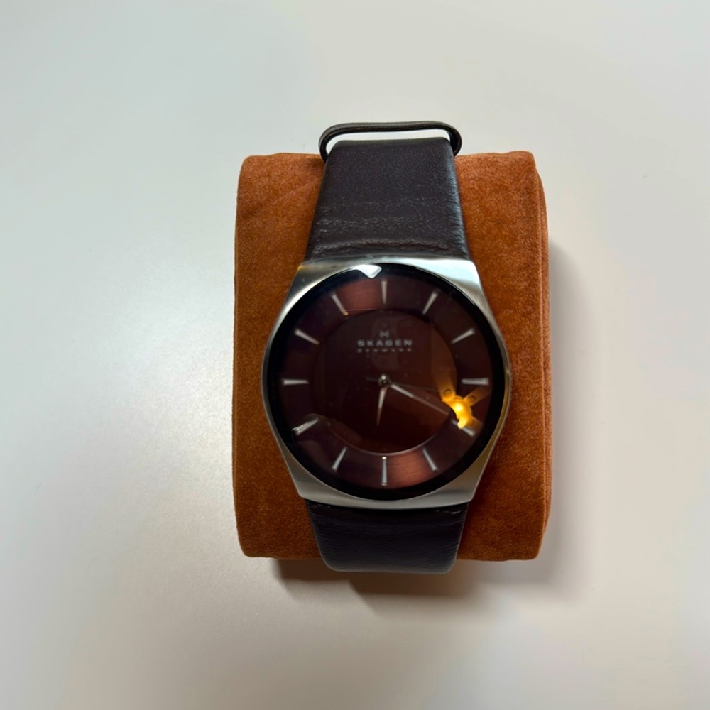 Skagen Men’s Watch